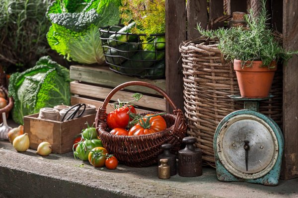 Comment organiser un festival de nourriture de rue internationale pour promouvoir votre restaurant urbain ?